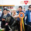 Bucovina Dog Show, la Shopping City Suceava