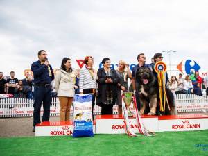 Bucovina Dog Show, la Shopping City Suceava 3