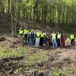 Angajaţii SUCT Suceava au pus umărul la împădurirea unui teren accidentat din Zvoriştea