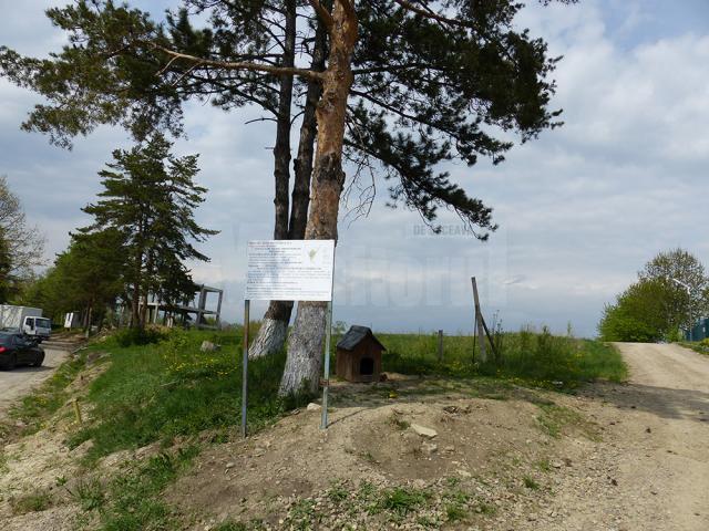 Locul unde cei de la SC Prolisok SRL vor să obțină autorizația de construcție pentru bloc