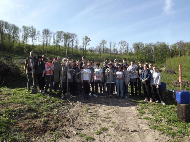 Elevii Școlii Gimnaziale Nr. 4 au plantat 1.000 de puieți la Mihoveni