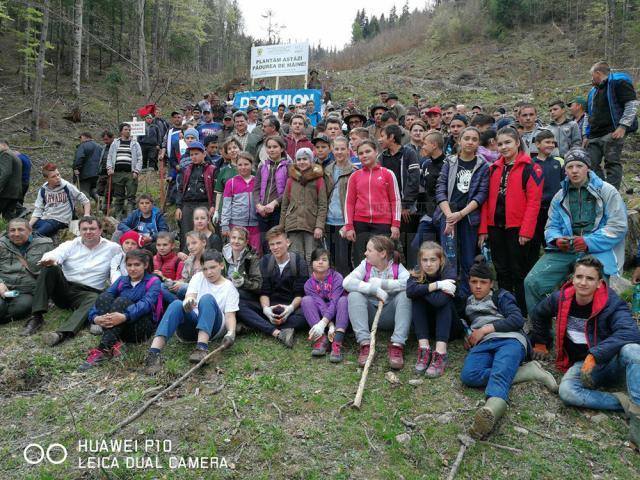 Școală Gimnazială Stulpicani a participat la acțiunea “Plantăm astăzi pădurea de mâine"
