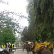 Gunoiul din cimitirul vechi din Burdujeni sat, ridicat după articolul din „Monitorul de Suceava”