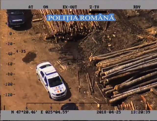 Peste 900 de mc lemn confiscat de polițiști, în urma unei ample acțiuni în Călimani