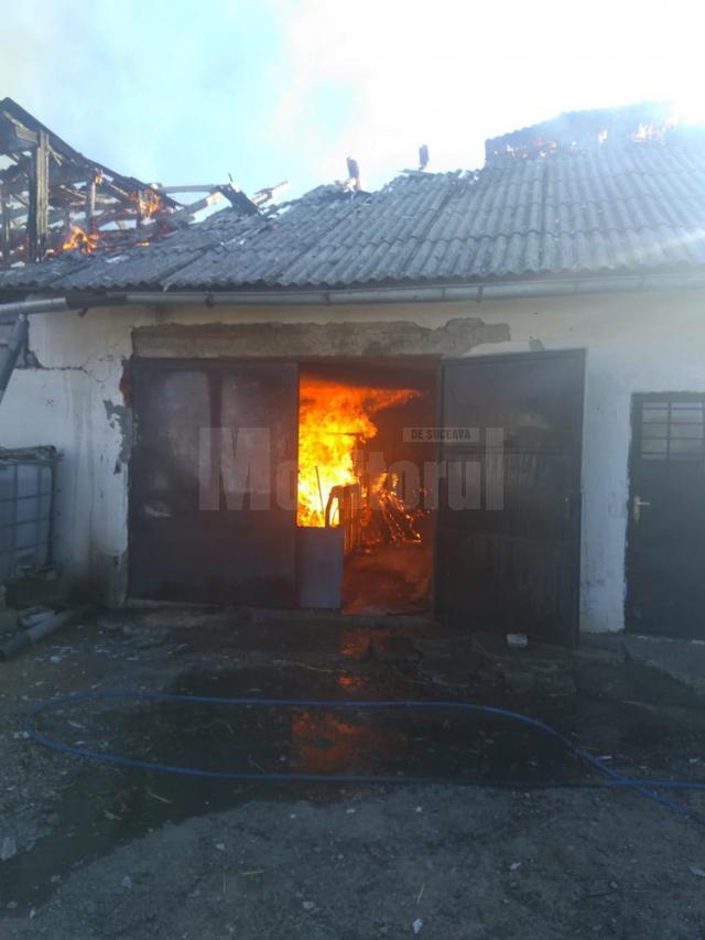 Un adăpost de animale a fost distrus de un incendiu la Costâna