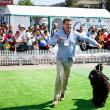 Sute de câini de rasă, din ţară şi de peste hotare, într-un spectacol deosebit, la Bucovina Dog Show 2018