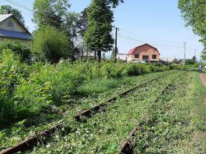 Linia de cale ferată a fost scoasă la „lumină” din vegetaţia abundentă. Foto: Facebook - Calea ferată Dorneşti-Putna