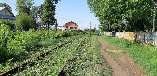 Linia de cale ferată a fost scoasă la „lumină” din vegetaţia abundentă. Foto: Facebook - Calea ferată Dorneşti-Putna