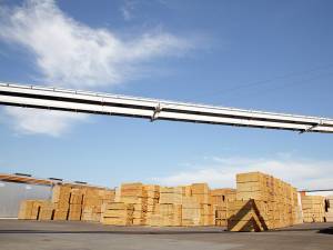 Noua politică de aprovizionare cu masă lemnoasă a Holzindustrie Schweighofer, mult mai strictă