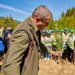 Aproape 600 de voluntari au plantat 6.340 de puieți de molid, brad și larice în Călimani