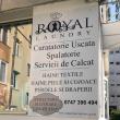 ”Royal Laundry”- servicii de spălătorie și curățătorie chimică la cel mai înalt nivel de calitate