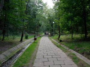 Preluarea parcului Şipote de către Primăria Suceava, blocată în Parlament