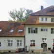 Psihiatri germani specializaţi în terapia bolnavilor psihic periculoşi, oaspeţi la Şcoala de vară în psihiatrie, de la Câmpulung Moldovenesc