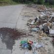 Zona Cruşini - Remezău, din comuna Vicovu de Jos, unde mai multe persoane au aruncat, fără nici o jenă, la marginea unui drum, gunoi menajer