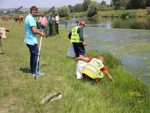 Peste o sută de kilograme de peşte mort, adunat de pe o porțiune de doi kilometri a râului Suceava