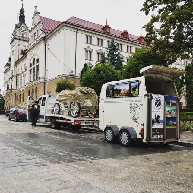 O trăsură cu doi cai frizieni, invitatul surpriză la Salonul Auto Bucovina