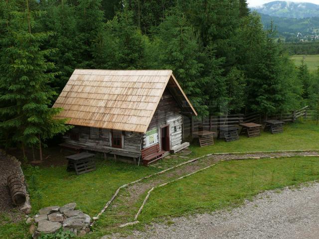 Ziua Parcului Naţional Călimani