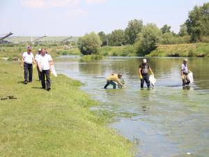 Poluarea provocată de ACET a provocat mortalitate piscicolă pe râul Suceava