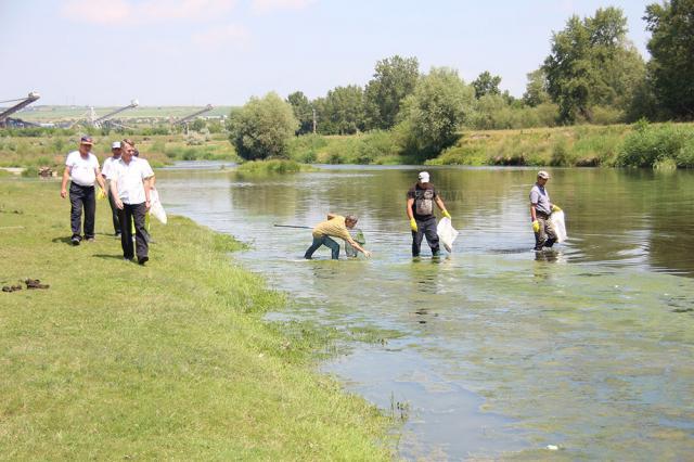 Poluarea provocată de ACET a provocat mortalitate piscicolă pe râul Suceava