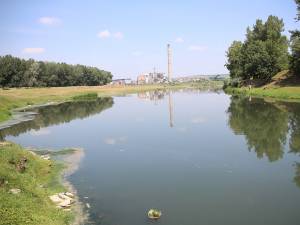 Creşterea nivelului de poluare a condus la scăderea concentraţiei de oxigen în râul Suceava