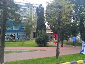 Cușnir consideră că Ion Lungu a acceptat în mod ilegal amenajări de terase și alei în parcul din fața primăriei