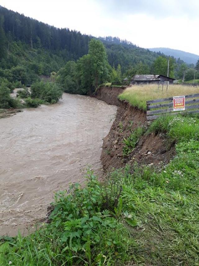 Râul Suceava, la Brodina