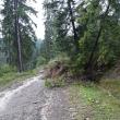 Drumul Brodina - Izvoarele Sucevei, blocat de alunecări