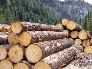 Controalele au vizat agenţii economici din domeniul lemnului Foto www.revistamobila.ro