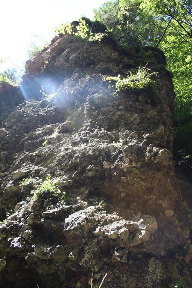 Uriaşi de piatră sunt o formidabilă barieră naturală, care a permis ca adâncurile pădurii să rămână neatinse de om