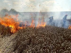 Incendiu lan grau2