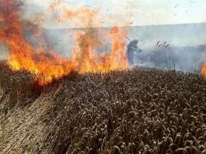 Incendiu lan grau3