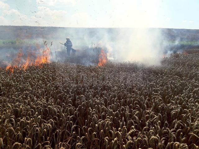 O combină care treiera grâu a provocat un puternic incendiu în lanul de cereale