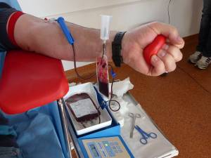 Persoanele care locuiesc sau au fost în vacanţă în Italia, Grecia, Ungaria şi Serbia au interdicţie să doneze sânge vreme de 28 de zile de la sosirea în România, din cauza febrei cu virusul West Nile