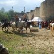 Spectacole cu cai şi cavaleri pe tot parcursul zilei, FOTO - Muzeul Bucovinei