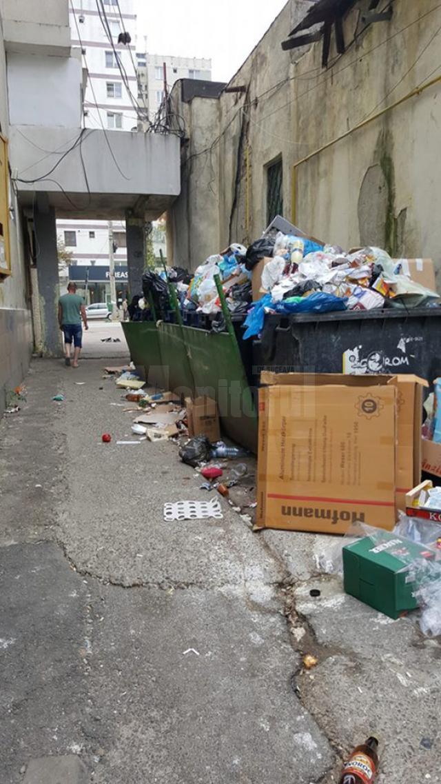 Culoar de trecere de la bulevardul George Enescu spre blocuri, blocat adeseori de mormanele de gunoi revărsate din buncăre