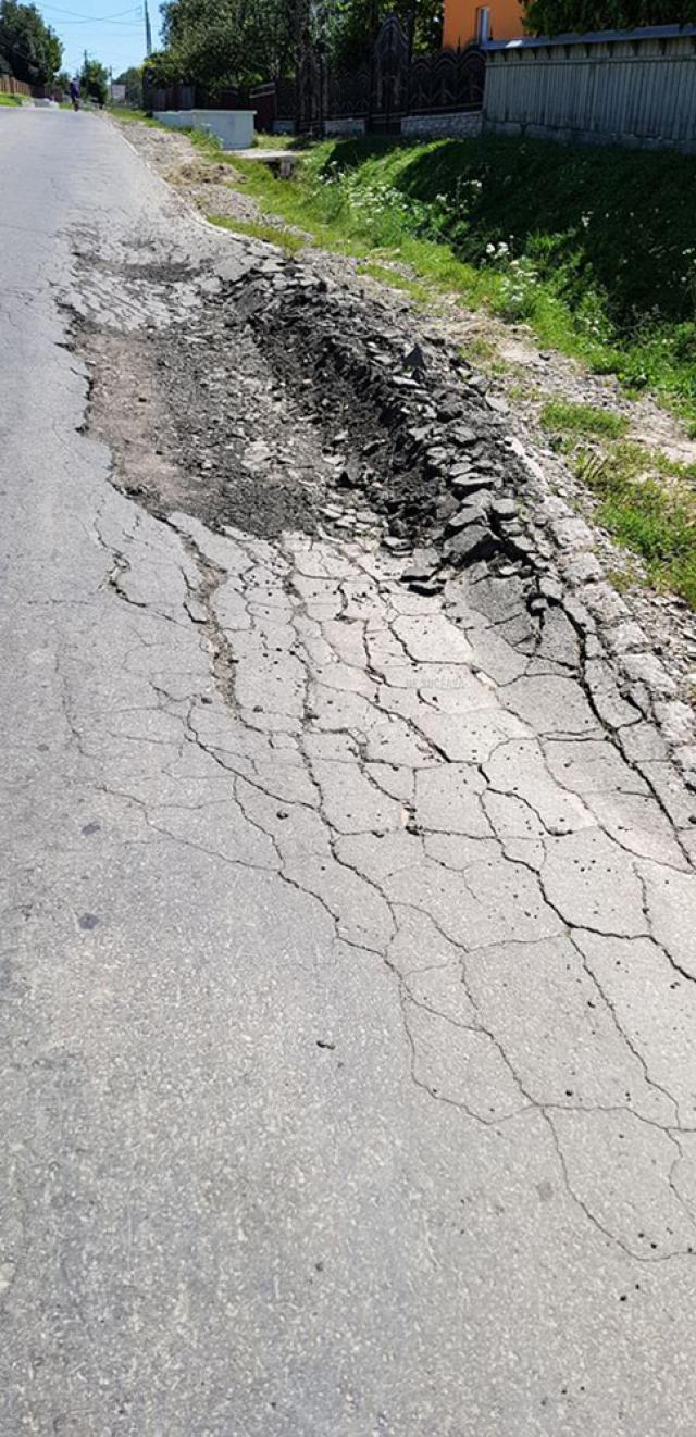 Locuitorii din Budeni - Dolhasca au plantat flori în gropile de pe drumul judeţean care face legătura cu Suceava