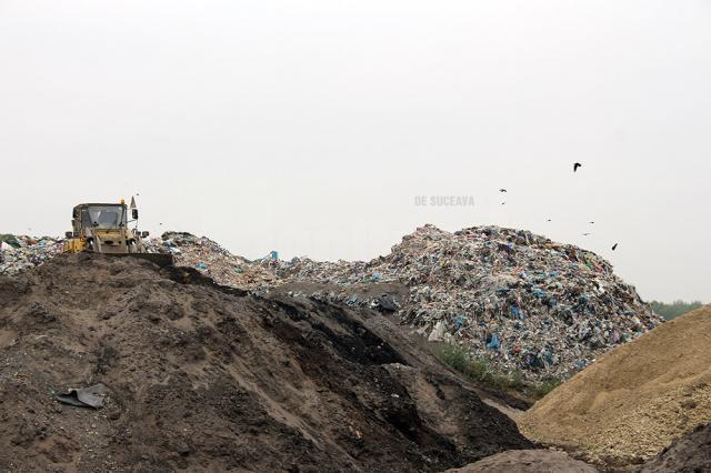 În timp ce groapa ecologică de la Moara stă nefolosită, pe malul râului Suceava, după fosta Termica, a apărut un munte de gunoi