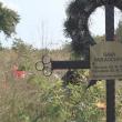 Cimitirul inocenţilor, cu sutele de victime ale „Orfelinatului Groazei” din Siret, tăinuit sub bălării