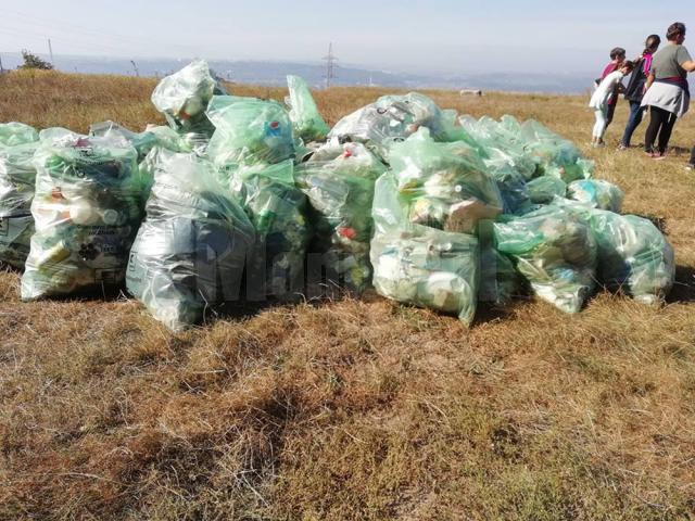 Peste 23.000 de saci de gunoi strânși în județ, sâmbătă
