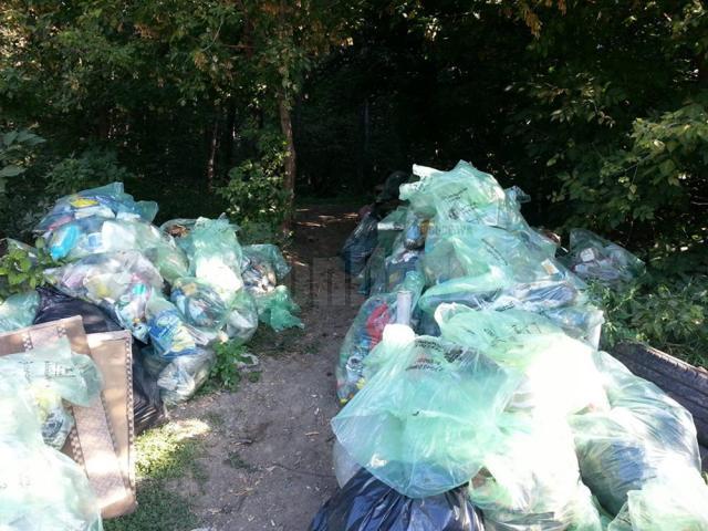 Peste 23.000 de saci de gunoi strânşi în judeţ, sâmbătă, în cadrul campaniei „Let's do it, Romania!”