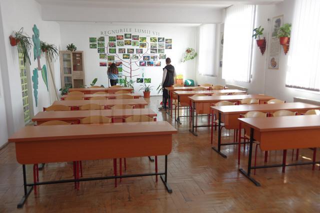 Şcoala din Ipoteşti, certificată din nou în programul mondial Eco-Schools