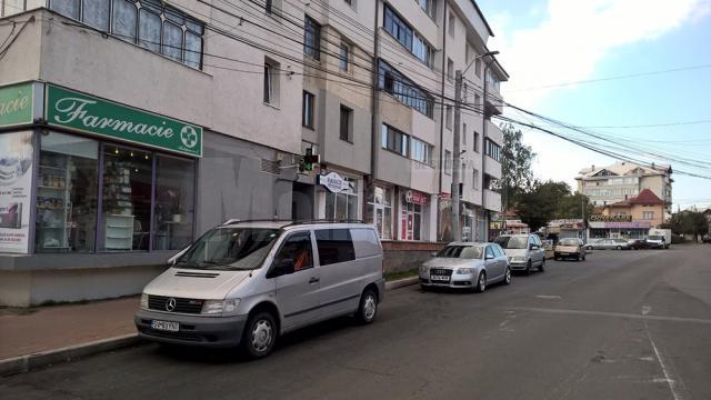 PSD Suceava critică faptul că pentru amenajarea unei parcări au fost tăiați mai mulți copaci
