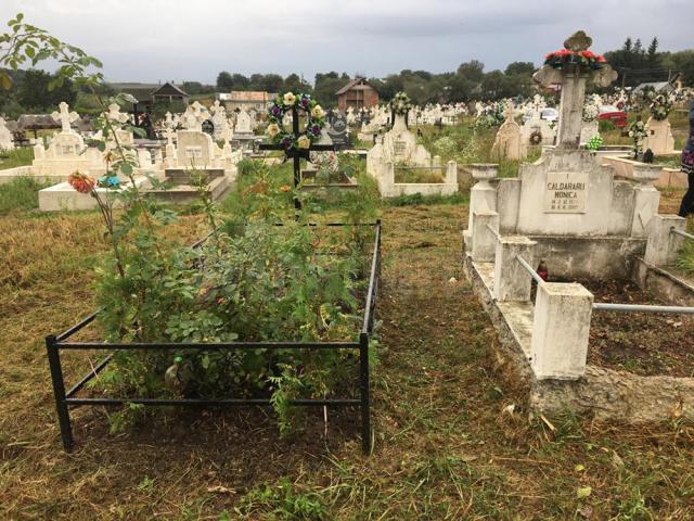 Cimitirul copiilor morţi în „Orfelinatul groazei” din Siret, igienizat în urma unui articol din „Monitorul de Suceava”