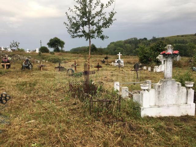Cimitirul copiilor morţi în „Orfelinatul groazei” din Siret, igienizat în urma unui articol din „Monitorul de Suceava”
