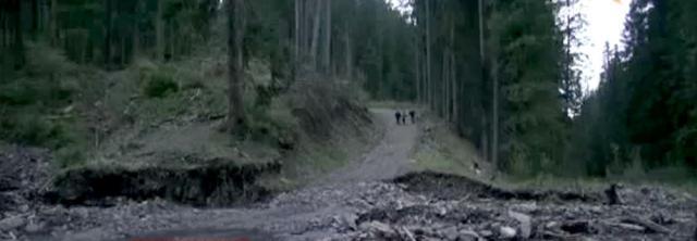 Elevii din cătunul Ploscii, Izvoarele Sucevei, străbat pe jos peste 10 kilometri, prin pădure şi prin câmp, pentru a ajunge la şcoală