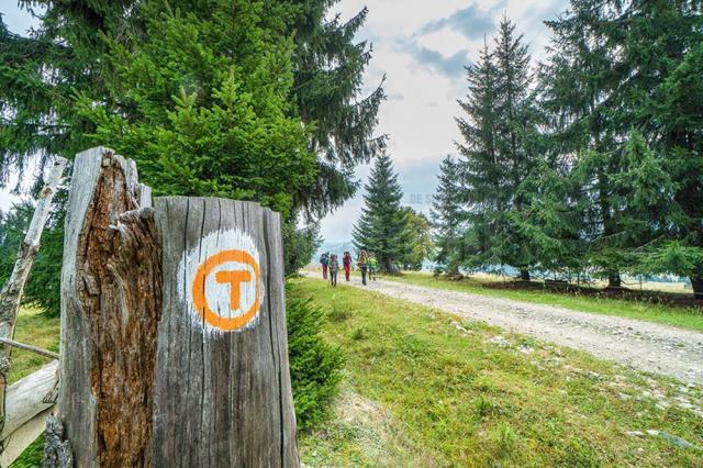Traseul turistic Via Transilvanica va avea 200 de kilometri în judeţul Suceava