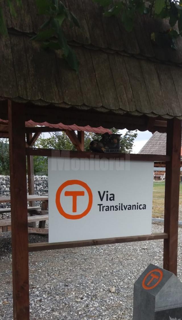 Bucovina va putea fi parcursă la pas sau cu bicicleta pe Via Transilvanica