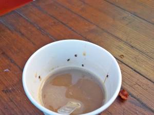 Cafeaua în care se aflau mai multe insecte