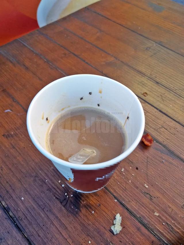 Cafeaua în care se aflau mai multe insecte