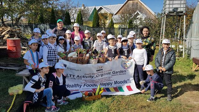 La Şcoala Nr. 4 Suceava s-au derulat o serie de activități pentru a sărbători Ziua Internațională a Alimentației